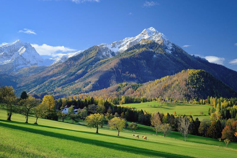 Dreamlike Landscape