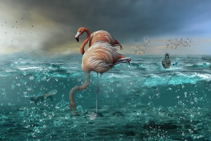 Mermaid in the ocean