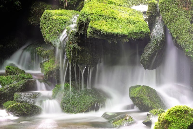 Serene Waterfall